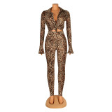 Sexy Slim Leopard Print Long Sleeve Two Piece Pants Set(Without Belt) GOSD-OS6112