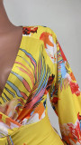 Floral Print V Neck Long Sleeve High Waist Dress YH-5275