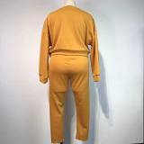 Plus Size Long Sleeve Two Piece Pants Set GWDS-210907