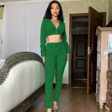 Solid Hooded Zipper Top And Pants Two Piece Sets CH-8236