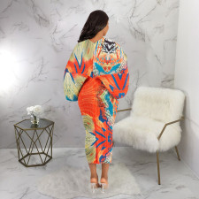Fashion V-neck Dolman Sleeve Print Dress NNWF-10263