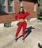 Solid Hooded Crop Top And Pant 2 Piece Set NLAF-60122