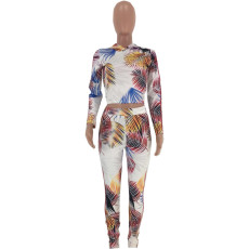 Casual Print Hoodies Pant Two Piece Sets NLF-8316