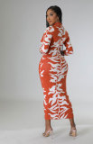 Fashion Print Long Sleeve Slim Long Dress XHXF-329