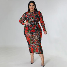 Plus Size Fashion Print See Through Long Dress NNWF-7605