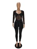 Mesh Splicing See Through Tops And Tight Pant Two Piece Set NM-8531