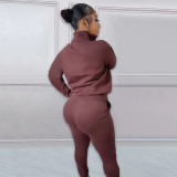 Solid Plush Zipper Pullover And Sport Pant Casual Two Piece Set  NYF-8126