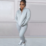 Solid Plush Zipper Pullover And Sport Pant Casual Two Piece Set  NYF-8126