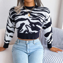 Fashion Print Long Sleeve Knitted Sweater GBJS-3002