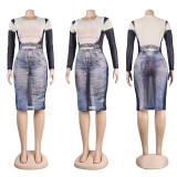 Mesh Patchwork Slim Denim Print Dress FSXF-F372