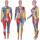 Sexy Print Hollow Out Jumpsuit(Without Headscarf) SH-390436