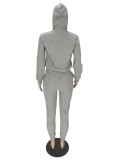 Plush Print Hooded Zipper Sweatshirt And Pant Two Piece Set AWN-1008