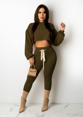 Plus Size Casual Long Sleeve Hooded Tops And Pant Two Piece Set OM-1512