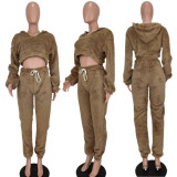Solid Color Hooded Crop Tops And Pant Two Piece Set YD-6122