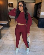 Solid Color Hooded Crop Tops And Pant Two Piece Set YD-1072