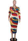 Casual Print Lapel Long Sleeve Slim Maxi Dress  XHXF-340