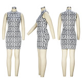 Fashion Print Sleeveless Dress And Short Tops 2 Piece Set XHSY-19539