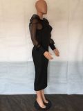 Mesh Bubble Sleeve Elegant Slim Sexy Dress LA-3328