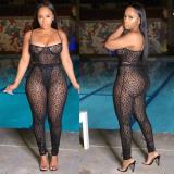 Mesh See-Through Sexy Bodysuit And Pants Two Piece Set FST-7081