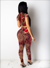 Snakeskin Print Short Sleeve Ripped Pants Two Piece Set NYMF-108
