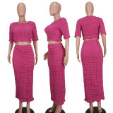Fashion Solid Round Neck Long Skirt Two Piece Set YD-8690