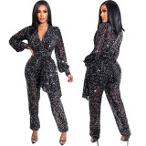 Sexy V-neck Long Sleeve Jumpsuit SMR-10826