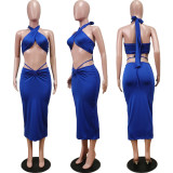 Fashion Sexy Solid Color Halter Top Long Skirt Two Piece Set WY-86784