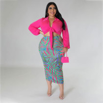 Solid Long Sleeve Tops And Print Skirt 2 Piece Set BMF-0301