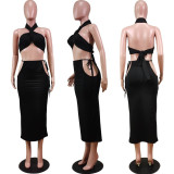 Sexy Solid Halter Top Hollow Long Skirt Two Piece Set WY-86774