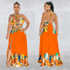 Sexy Contrast Color Tie Up Maxi Dress BY-6263