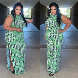 Plus Size Print Split Maxi Dress NY-10439