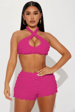 Sexy Halter Crop Tops And Shorts Two Piece Set YD-8713