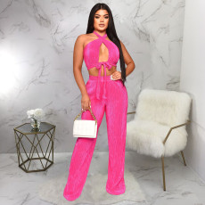 Solid Color Sleeveless Tie Up Halter Two Piece Set YF-10479