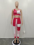 Casual Contrast Color Sleeveless Two Piece Pants Set BN-9427