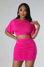 Fashion Solid Color Tops And Pleated Skirts Two Piece Set FENF-274