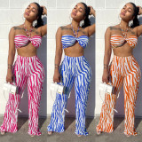 Sexy Print Tube Tops And Straight Pants Two Piece Set ANDF-1533