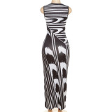 Fashion Wave Print Round Neck Pullover Slim Fit Maxi Dress DLSF-K22D25485