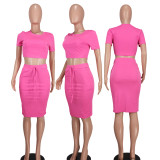 Fashion Solid Short Sleeve Skirts Two Piece Set YD-8745