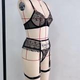 Chain Lace Sexy Erotic Lingerie Bra Set GAXL-2033