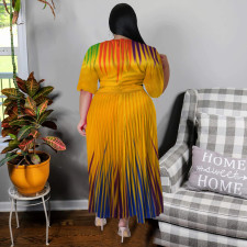 Plus Size Lantern Sleeve Print Pleated Maxi Dress NNWF-7881