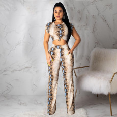 Snake Print Short Sleeve Two Piece Pants Set CHY-1365
