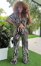 Plus Size Casual Print Short Sleeve Loose Two Piece Pants Set OM-1632