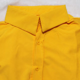 Long Sleeve Lapel Neck Shirt Dress SFY-2334