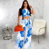 Casual Print Sling Crop Top And Pant Two Piece Set SMR-12029