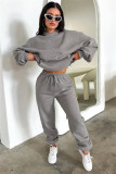 Solid Long Sleeve Hooded Plush Sweatshirt 2 Piece Set SSNF-211333