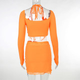 Lace Long Sleeve Crop Tops And Split Skirt 2 Piece Set FL-23447