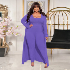 Plus Size Solid Color Long Sleeve Two Piece Pants Set NNWF-7934