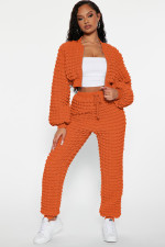 Casual Solid Color Long Sleeve Two Piece Pants Set  YD-8785