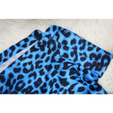 Leopard Print Long Sleeve Long Shawl Top YF-10620