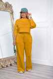 Solid Color Long Sleeve Loose Two Piece Pants Set YH-5331